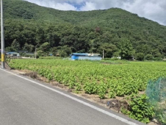 경상북도 경주시 산내면 신원리 747