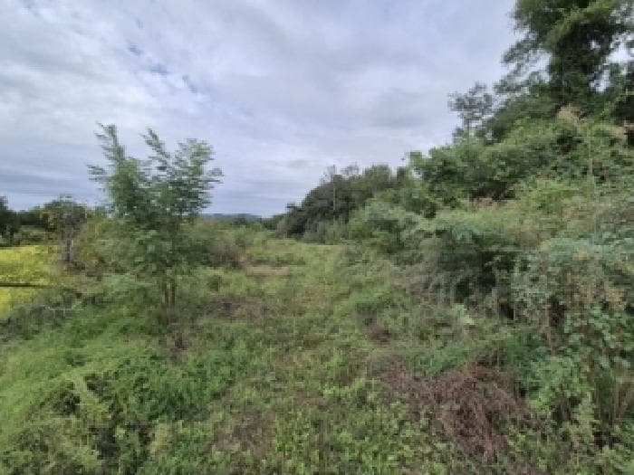 경상북도 경주시 시래동 49
