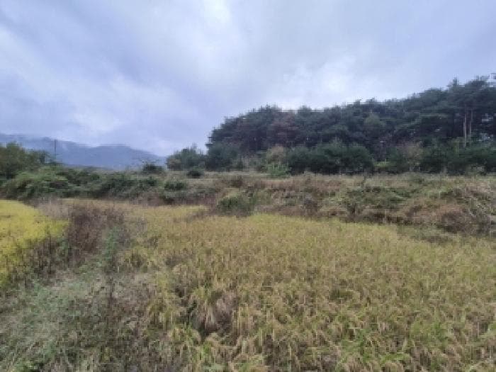 경상북도 경주시 외동읍 신계리 545