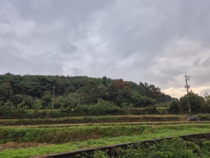 경상북도 경주시 배반동 산16