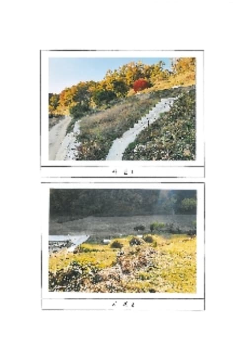 경상북도 김천시 부항면 대야리 343