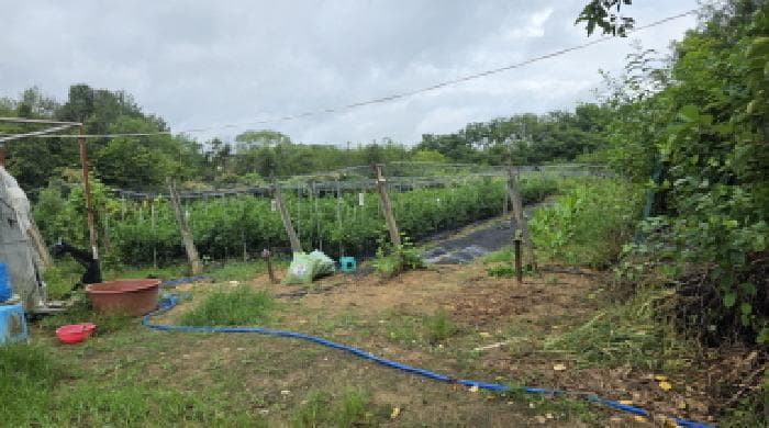 경상북도 김천시 개령면 황계리 592