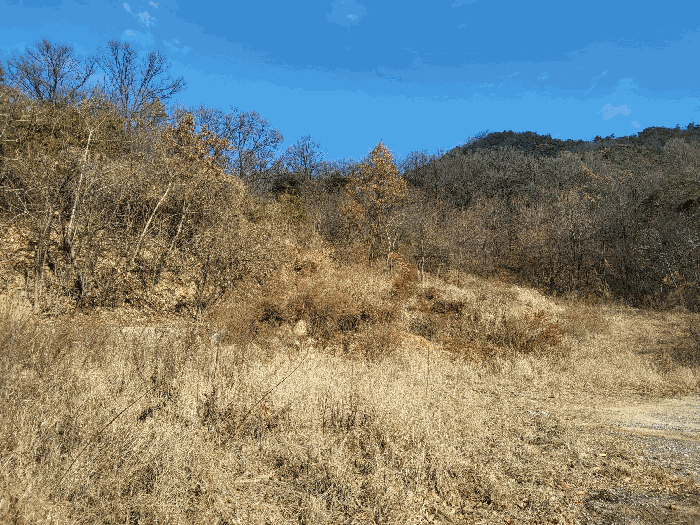 경상북도 구미시 고아읍 원호리 산8-7