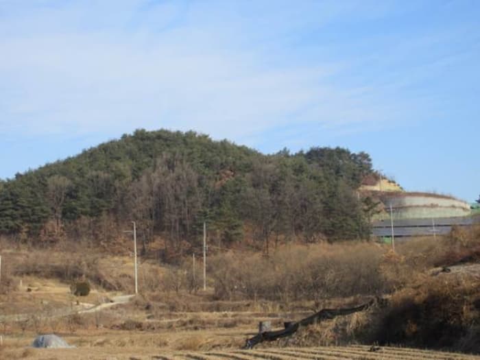 경상북도 예천군 호명읍 원곡리 산12