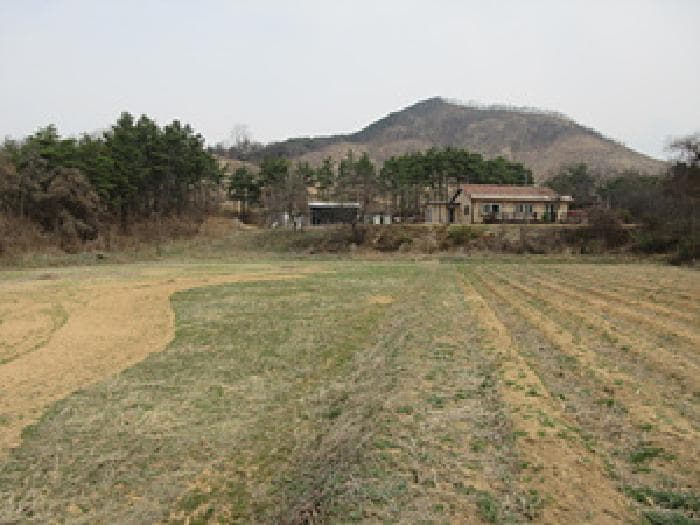 경상북도 예천군 풍양면 낙상리 663-4