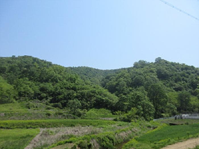 경상북도 예천군 호명읍 황지리 산40