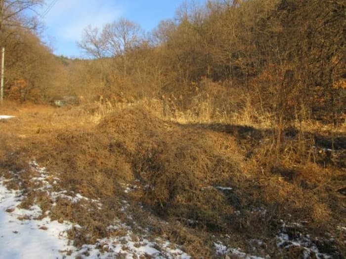 경상북도 예천군 호명읍 원곡리 336