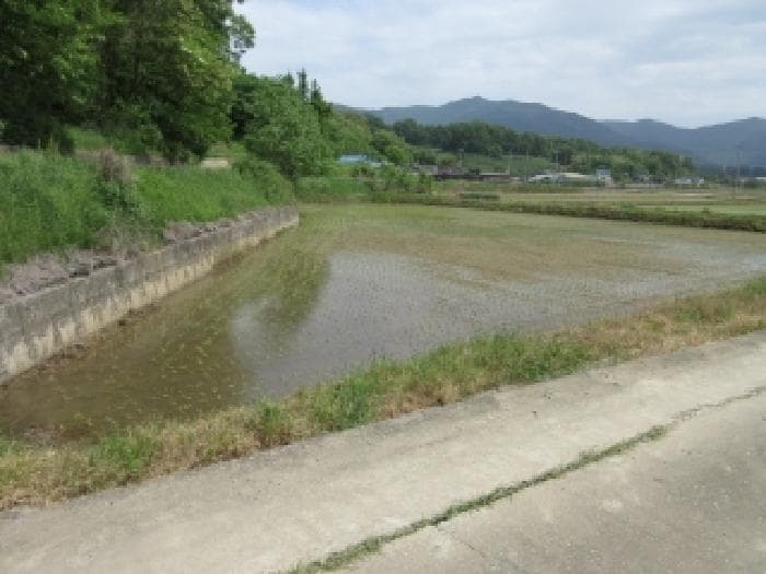 경상북도 문경시 마성면 외어리 995