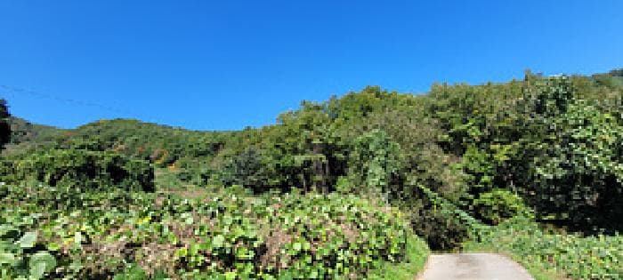 경상북도 문경시 산북면 호암리 산84