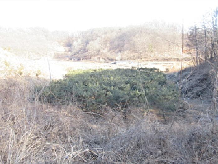 경상북도 문경시 공평동 104