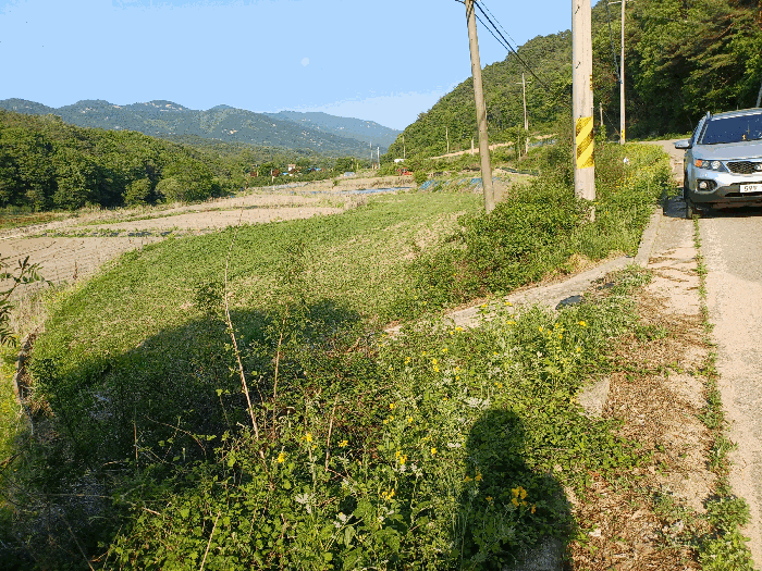 경상북도 문경시 가은읍 완장리 630