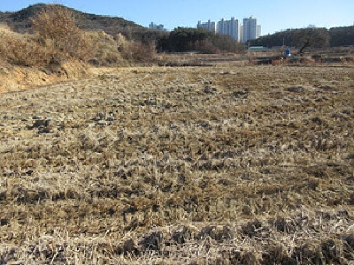 경상북도 예천군 호명읍 본리 142