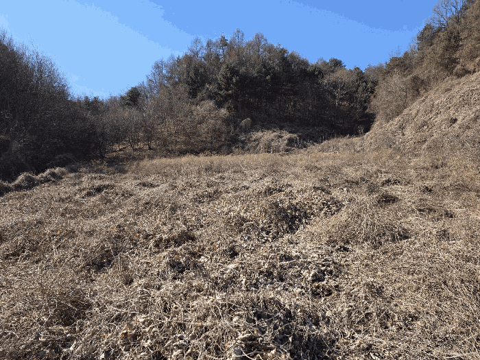 경상북도 예천군 감천면 진평리 401