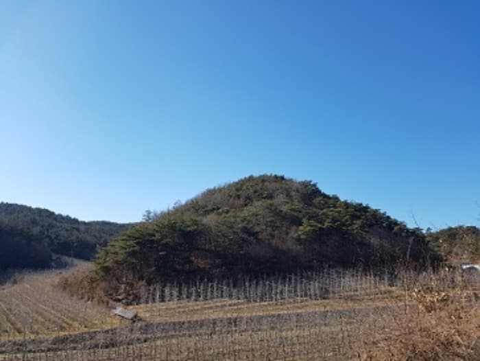 경상북도 청송군 현서면 화목리 산61