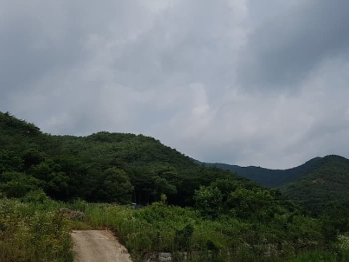 경상북도 의성군 점곡면 사촌리 산27-7