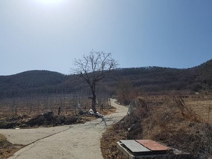 경상북도 청송군 부남면 대전리 산120