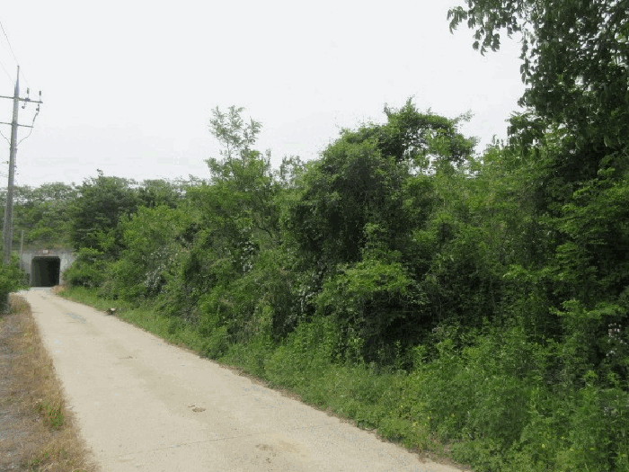 대구광역시 군위군 산성면 백학리 439