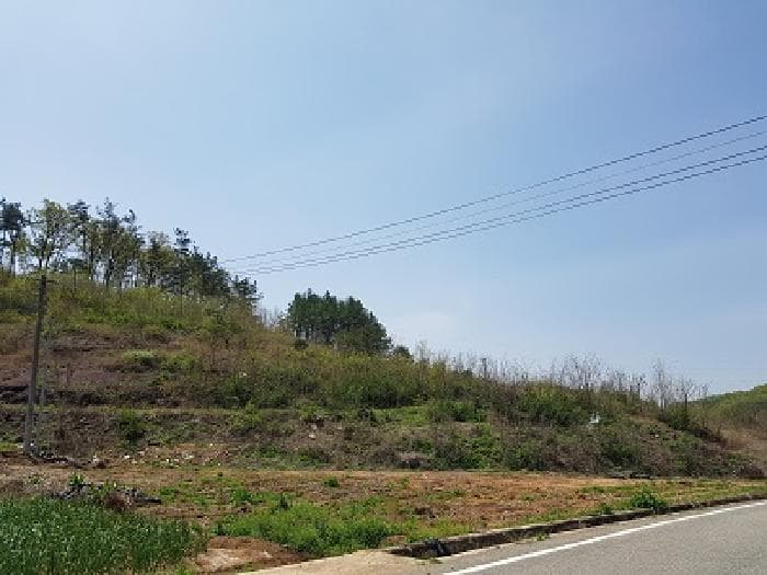 경상북도 의성군 의성읍 팔성리 산37-2