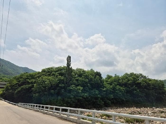 대구광역시 군위군 부계면 대율리 330