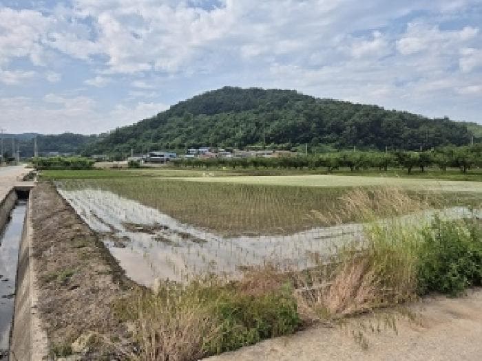 경상북도 의성군 봉양면 삼산리 604