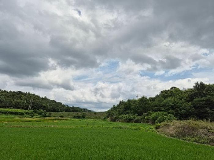 경상북도 의성군 옥산면 오류리 438