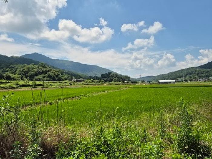 경상북도 의성군 다인면 덕미리 11 주1동