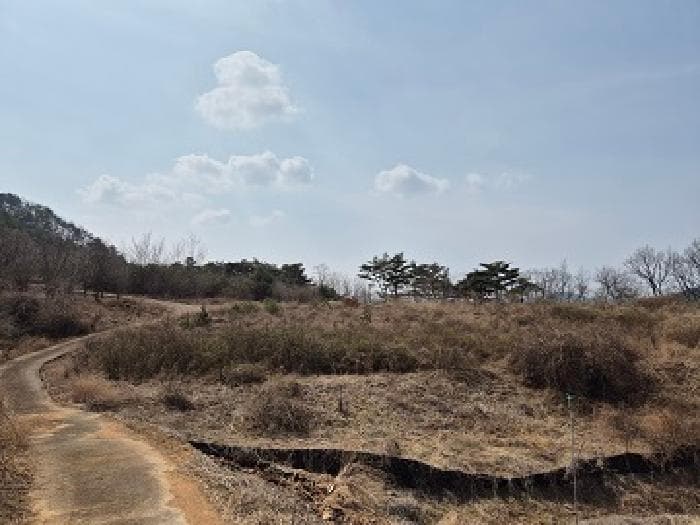경상북도 청송군 주왕산면 지리 18
