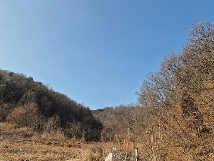 대구광역시 군위군 우보면 모산리 산80