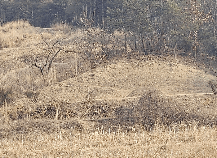 경상북도 의성군 비안면 화신리 928