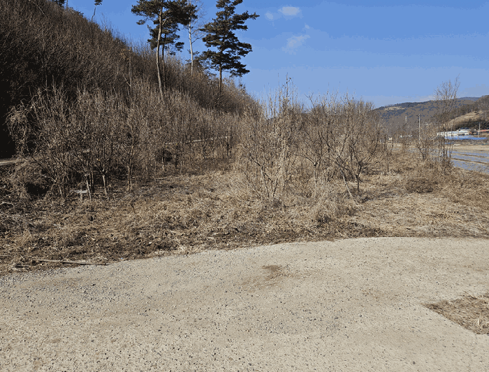 대구광역시 군위군 군위읍 광현리 126
