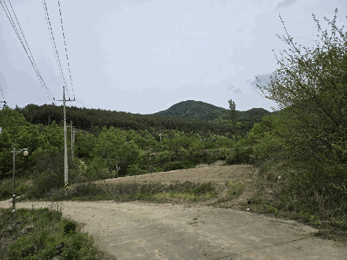 경상북도 의성군 단밀면 생송리 산76-5