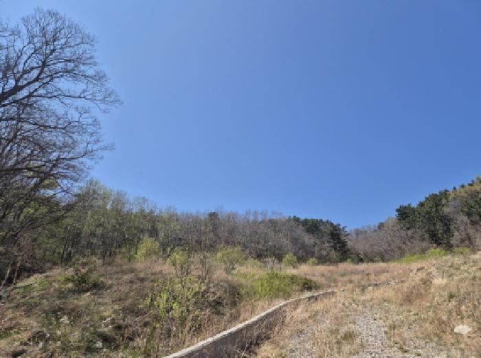 경상북도 영덕군 강구면 하저리 164