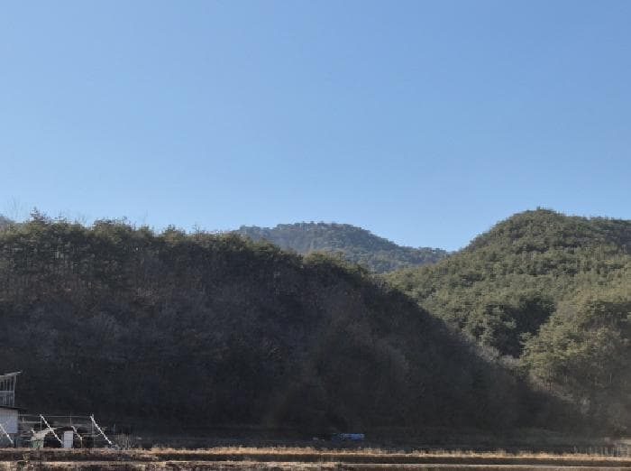경상북도 영양군 입암면 금학리 산128