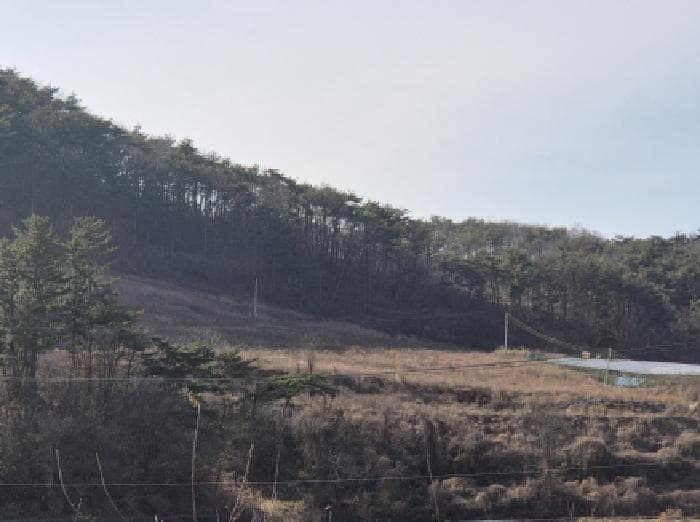 경상북도 영덕군 지품면 원전리 374