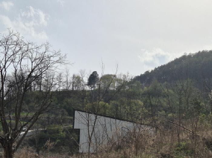 경상북도 영양군 영양읍 동부리 411-2 가동