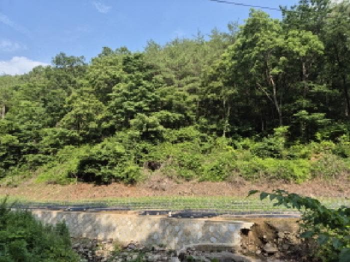 경상북도 영양군 입암면 금학리 1027