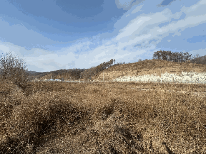 경상북도 영덕군 지품면 황장리 97