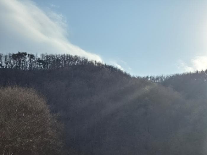 경상북도 영덕군 영덕읍 화천리 산45