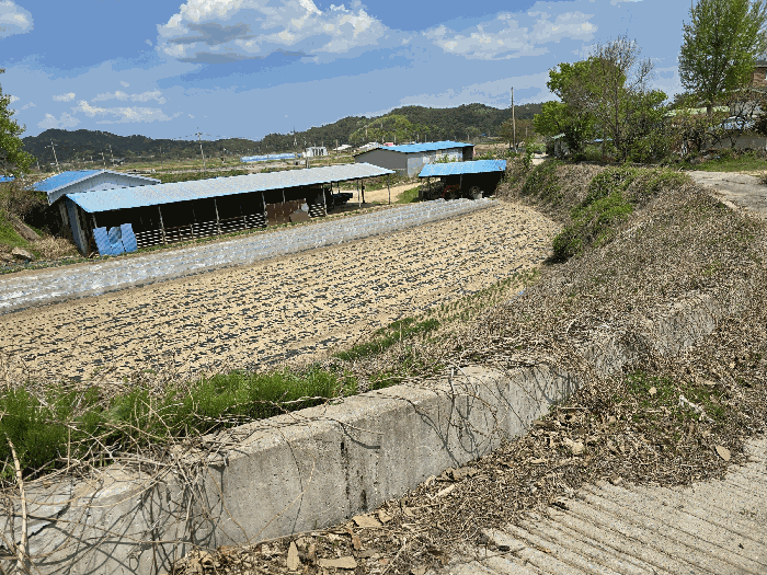 경상북도 울진군 평해읍 월송리 1164