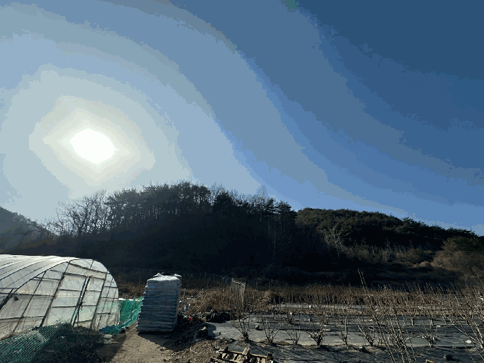 경상북도 영덕군 달산면 용평리 산17