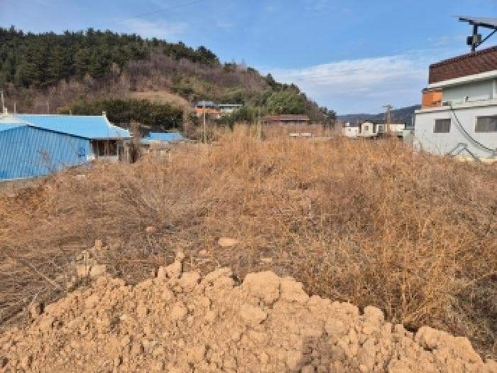 경상북도 영덕군 강구면 오포리 283-3