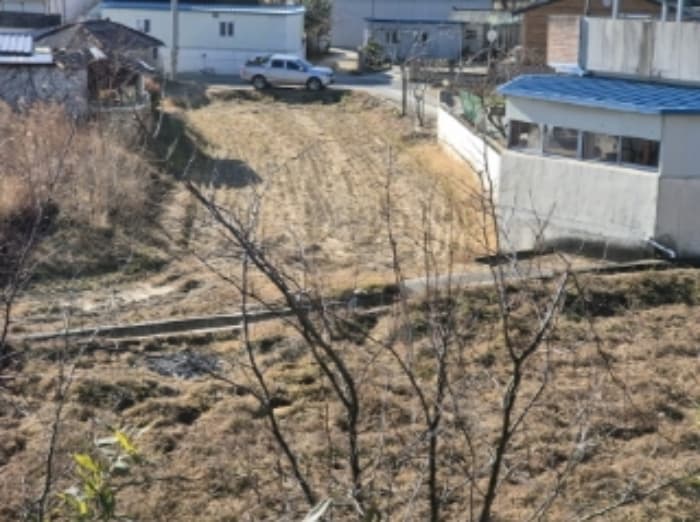 경상북도 포항시 북구 흥해읍 덕장리 809