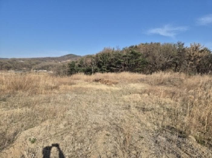 경상북도 포항시 남구 동해면 신정리 238-3