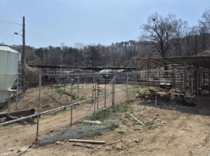 경상북도 포항시 북구 신광면 안덕리 933