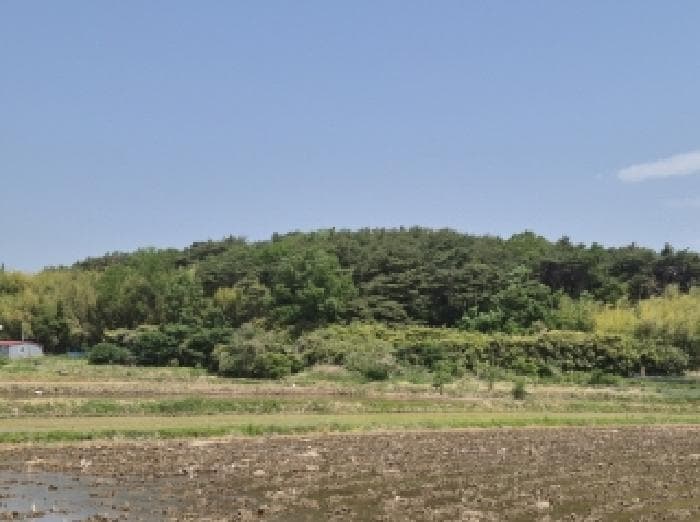 경상북도 포항시 남구 연일읍 학전리 산66-7