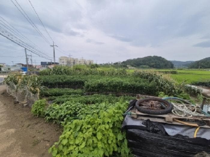경상북도 포항시 남구 구룡포읍 구평리 712-3