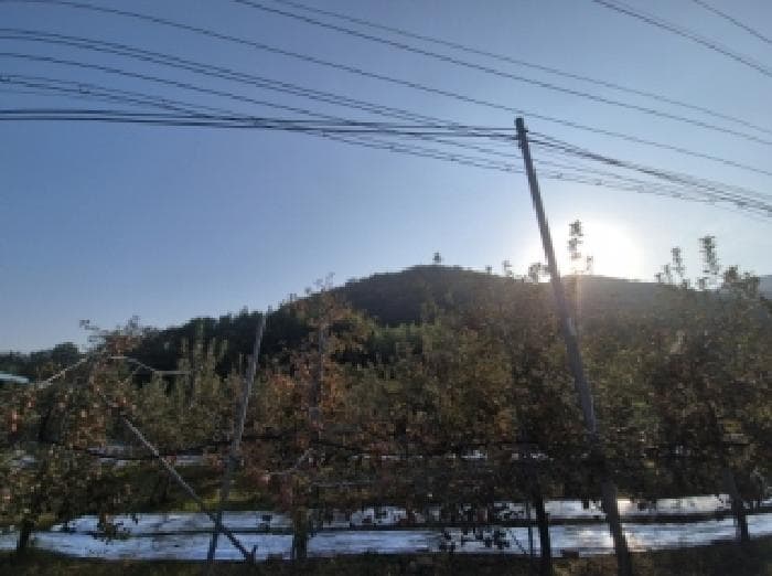 경상북도 포항시 북구 기계면 가안리 565
