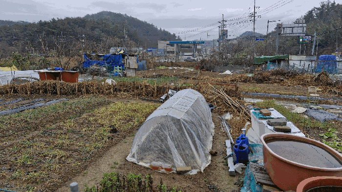 경상북도 포항시 북구 양덕동 435