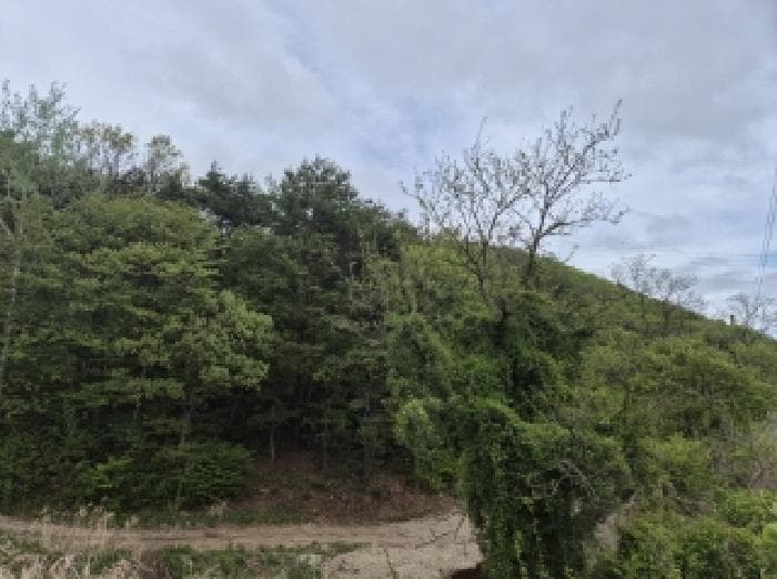 경상북도 포항시 남구 오천읍 갈평리 산88