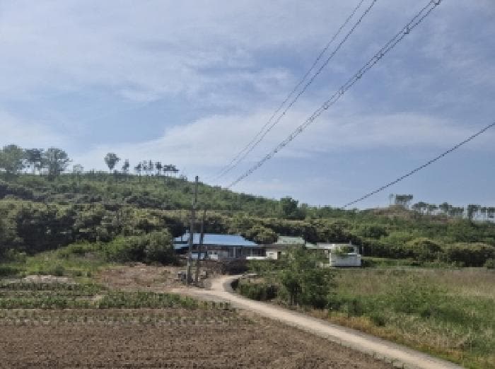 경상북도 포항시 남구 대송면 대각리 산66-9